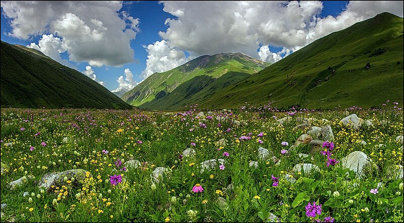 Georgien (c) VizArmTravel